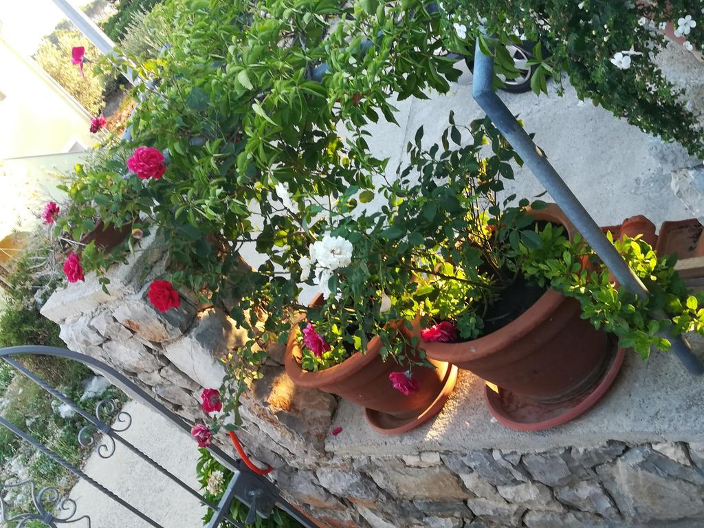 Apartment Neno - Terrace & Parking Veli Lošinj Екстериор снимка