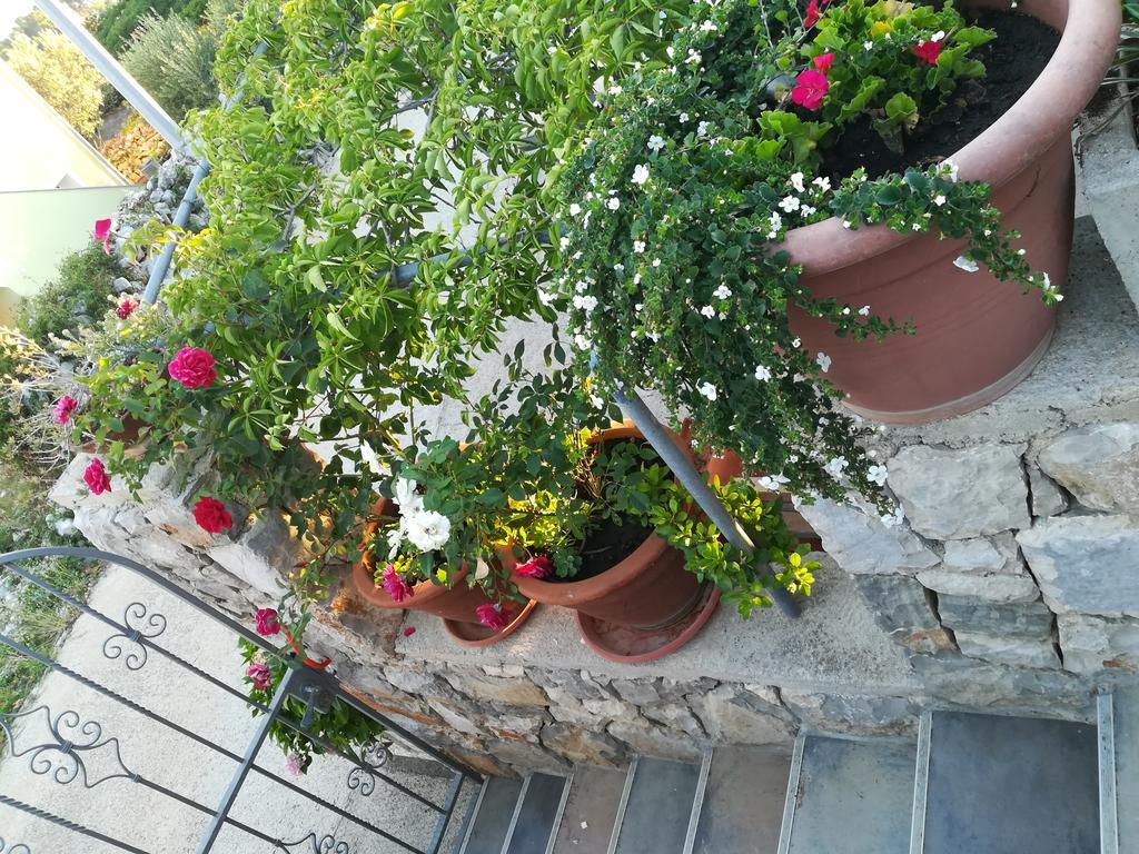 Apartment Neno - Terrace & Parking Veli Lošinj Екстериор снимка