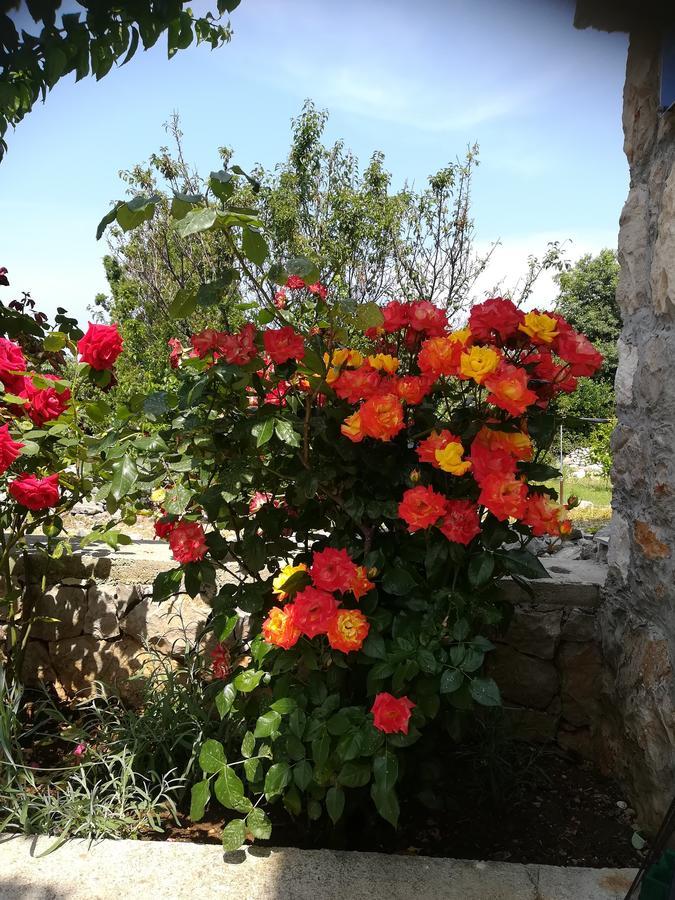 Apartment Neno - Terrace & Parking Veli Lošinj Екстериор снимка