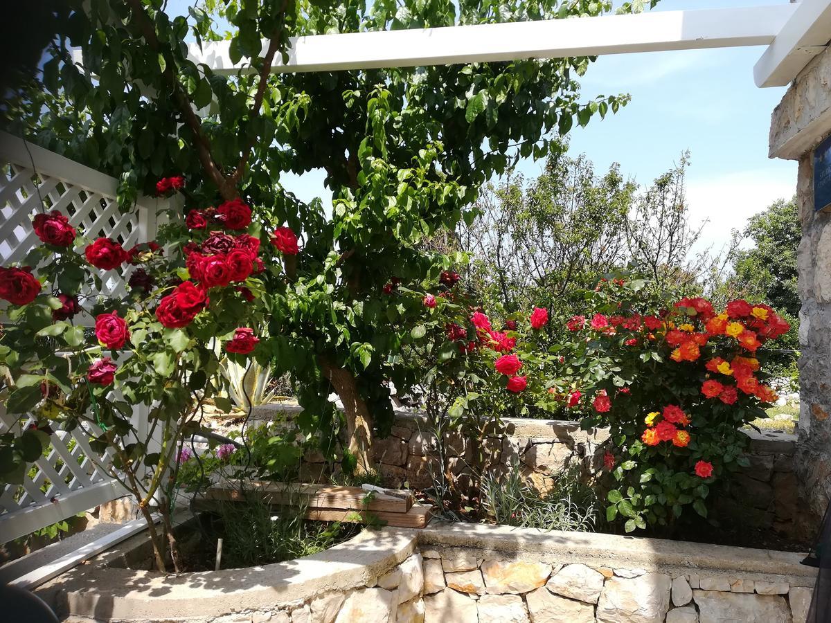 Apartment Neno - Terrace & Parking Veli Lošinj Екстериор снимка