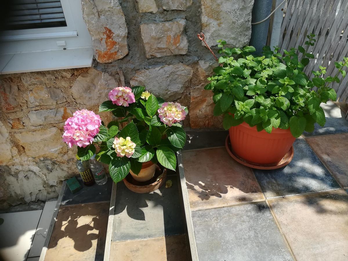 Apartment Neno - Terrace & Parking Veli Lošinj Екстериор снимка