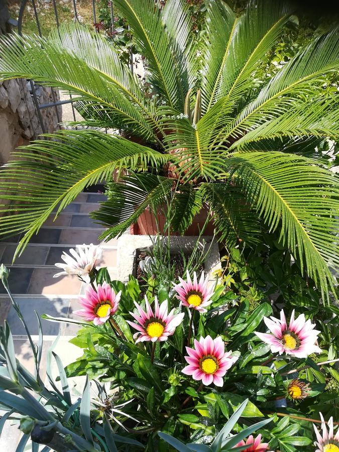 Apartment Neno - Terrace & Parking Veli Lošinj Екстериор снимка