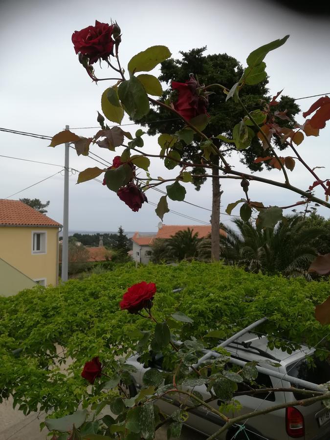 Apartment Neno - Terrace & Parking Veli Lošinj Екстериор снимка